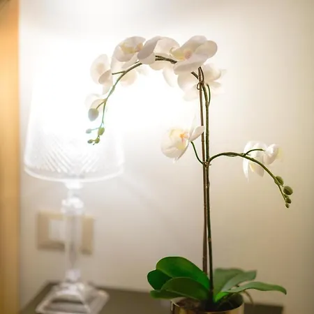 Relais Tosinghi Florenz